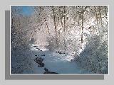 Timmerman Creek
