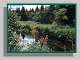 W. Branch Sacandaga River