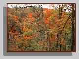 Fall display