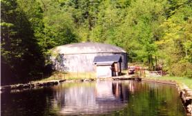 The Dome