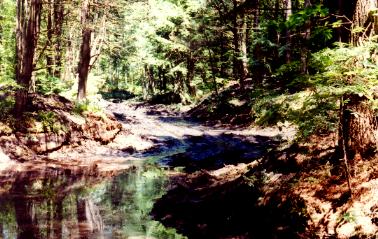 Congdon Spring, Lower Spring House